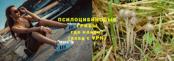 твердый Нея